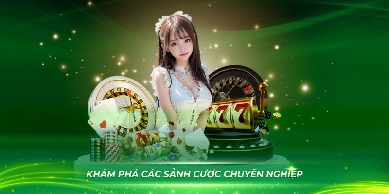 Khám phá các sảnh cược chuyên nghiệp mà nhà cái xây dựng